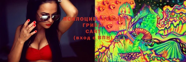 МДПВ Алексин