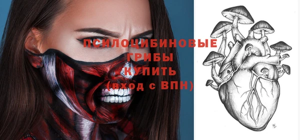 молекула духа Алзамай